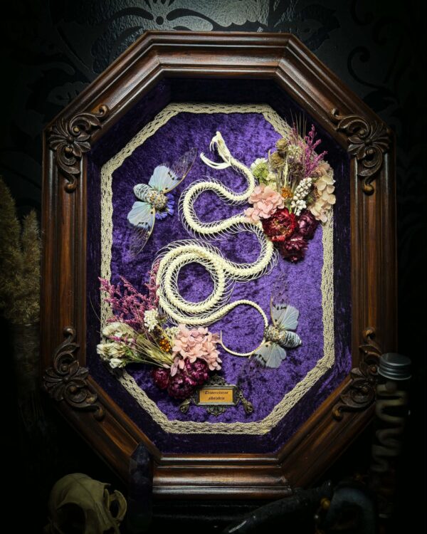 Serpent Violet Chamber| Snakes