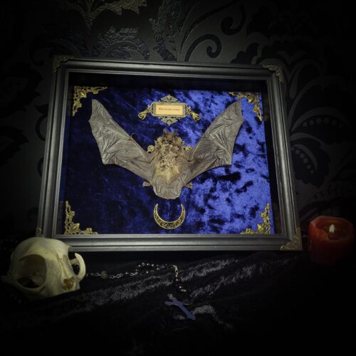 Simple bat shadowbox | MADE TO ORDER