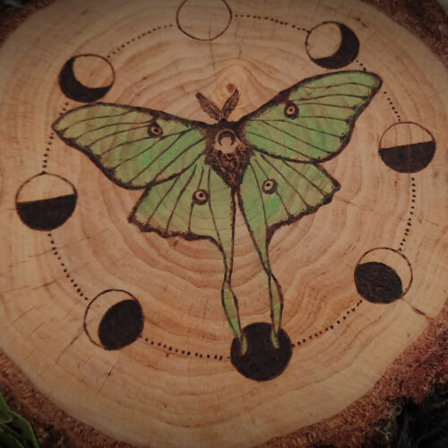 Lunar Moth | Pirography