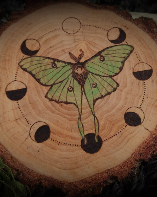 11512de7-7c1a-4e6f-8a6c-91c9d68ea17f.jpg Lunar Moth | Pirography