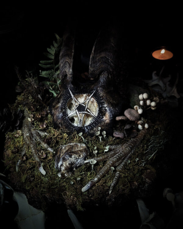 1548f8f0-c811-4ba3-9e03-764fe24e34da.jpg Obscura | Witches