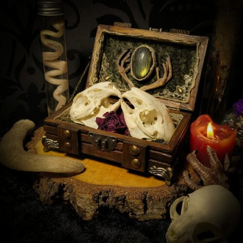Soft Romance | Witches