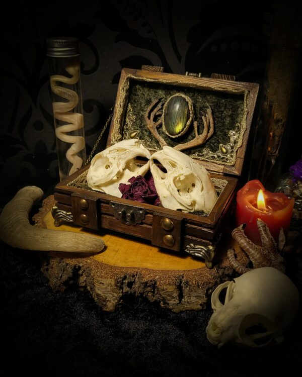 Soft Romance | Witches