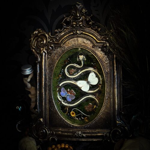 Whimsical Reliquary | Snakes