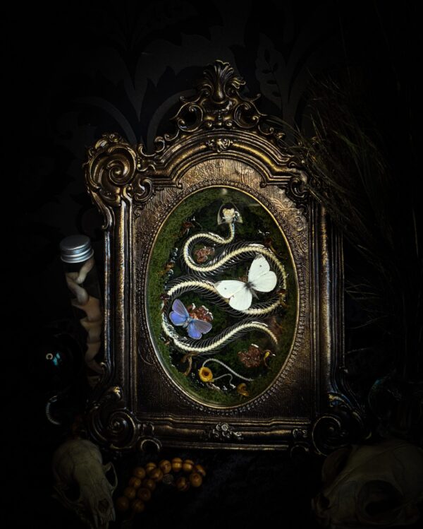 Whimsical Reliquary | Snakes