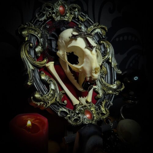22d6eb99-dd42-4d5f-96fc-129e37bcda60.jpg Baroque kitten | Vampires