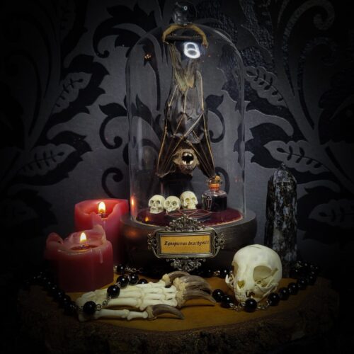 328d5973-9384-4b12-8aa6-4774d5d61965.jpg Occultia | MADE TO ORDER