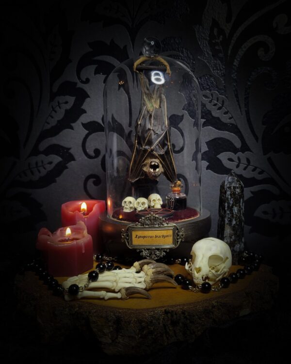 328d5973-9384-4b12-8aa6-4774d5d61965.jpg Occultia | MADE TO ORDER