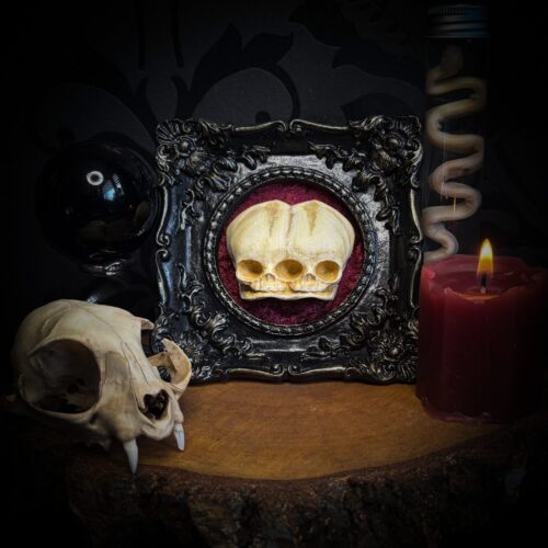 Conjoined Twins | Crafted Relics