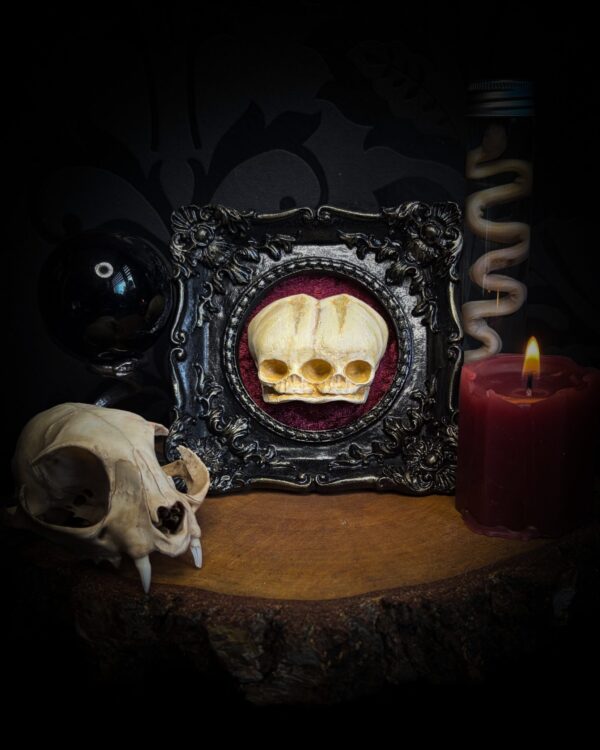 Conjoined Twins | Crafted Relics