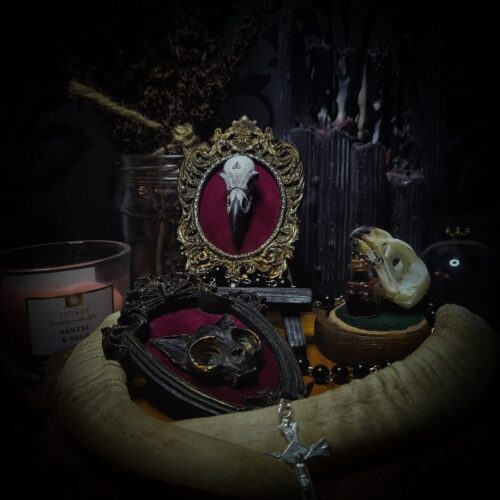 53c55599-8e72-4b7c-b530-9014ccd34557.jpg Corvus Reliquare | Crafted Relics
