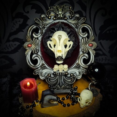 Gothic Kitten | Gothic