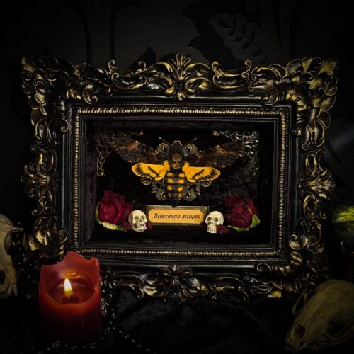 Gothica | MADE TO ORDER
