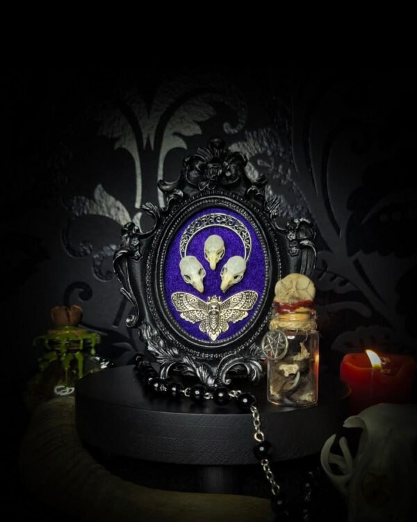 5d16ac85-09ce-4013-8251-7d97225bdb4c.jpg Mothica | Crafted Relics