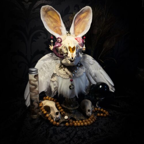 Eye and Tonque | Silent Companions