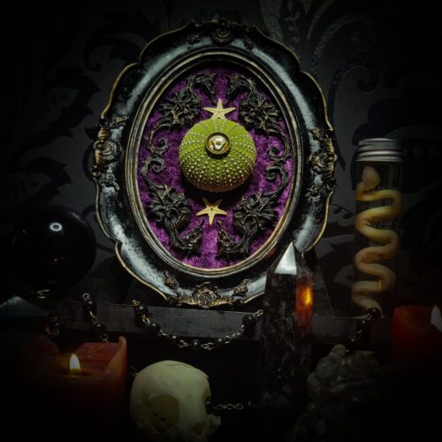 Sea urchin frame | Witches
