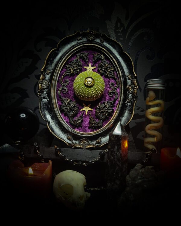 98b65b85-0faf-41ff-9e57-f71b9df72071.jpg Sea urchin frame | Witches