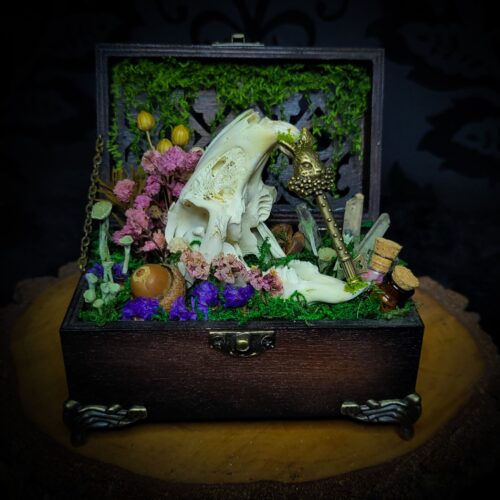 Wonderland | Witches