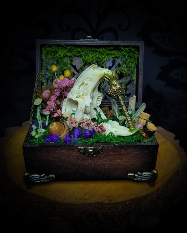 9a17aad8-70a0-478e-8f5d-bd66f2abdd64.jpg Wonderland | Witches