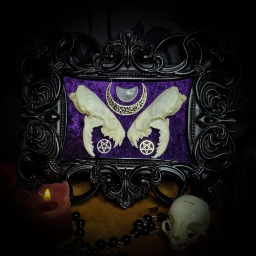 Lunaris Divination | Gothic