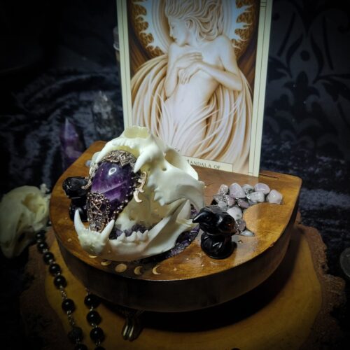 b762d8e3-e8cd-4da1-879c-c42e5d03a5f3.jpg Arcanum | Witches