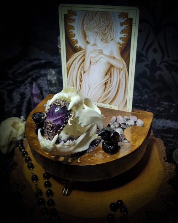 b762d8e3-e8cd-4da1-879c-c42e5d03a5f3.jpg Arcanum | Witches