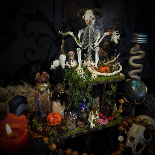Faun of the Forest | Woodland