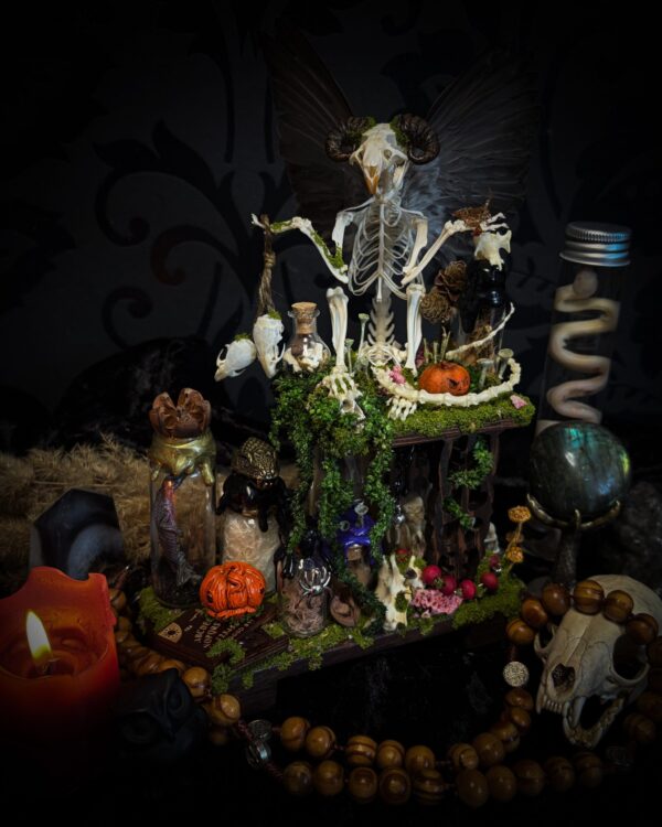 Faun of the Forest | Woodland