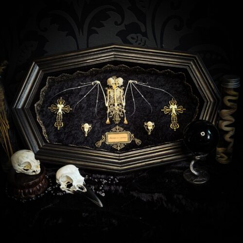 Vampiria | MADE TO ORDER