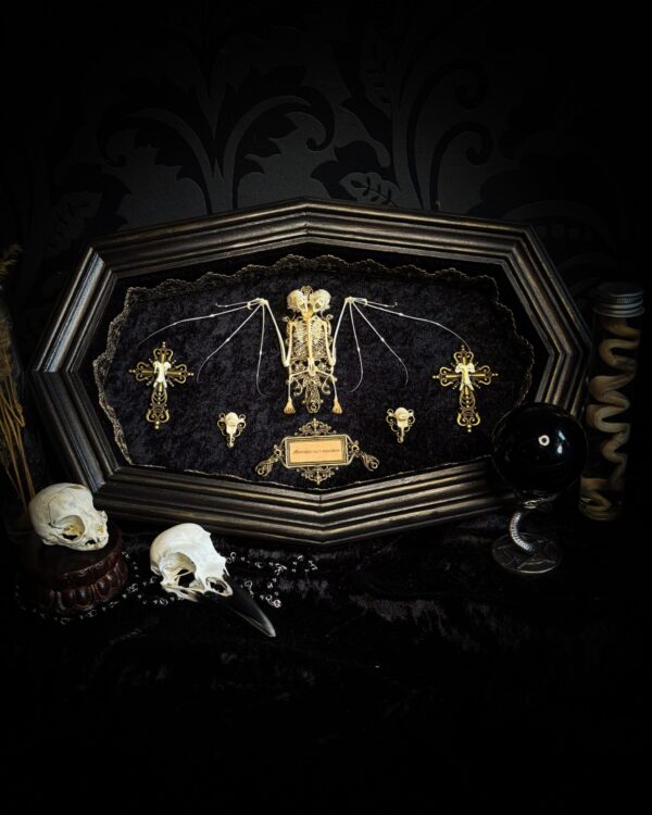 Vampiria | MADE TO ORDER