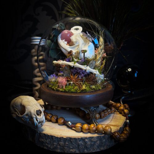 cadf9c92-7bff-4e17-a4bc-46f67ff60701.jpg Bloom & Bone | Woodland