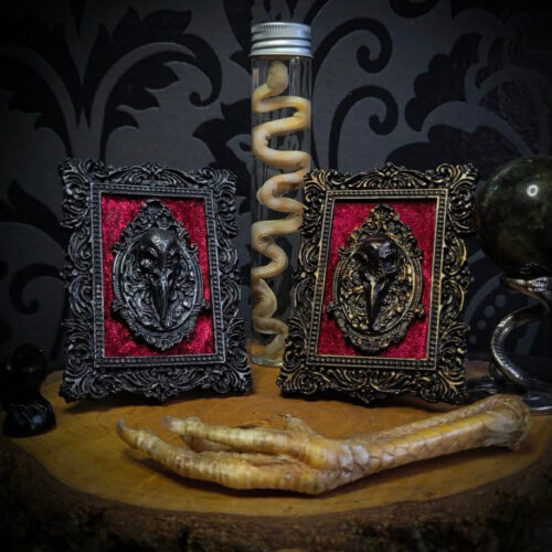 cb710df6-cd0b-497e-8146-70385596e0c5.jpg Corvusum Reliquary| Crafted Relics