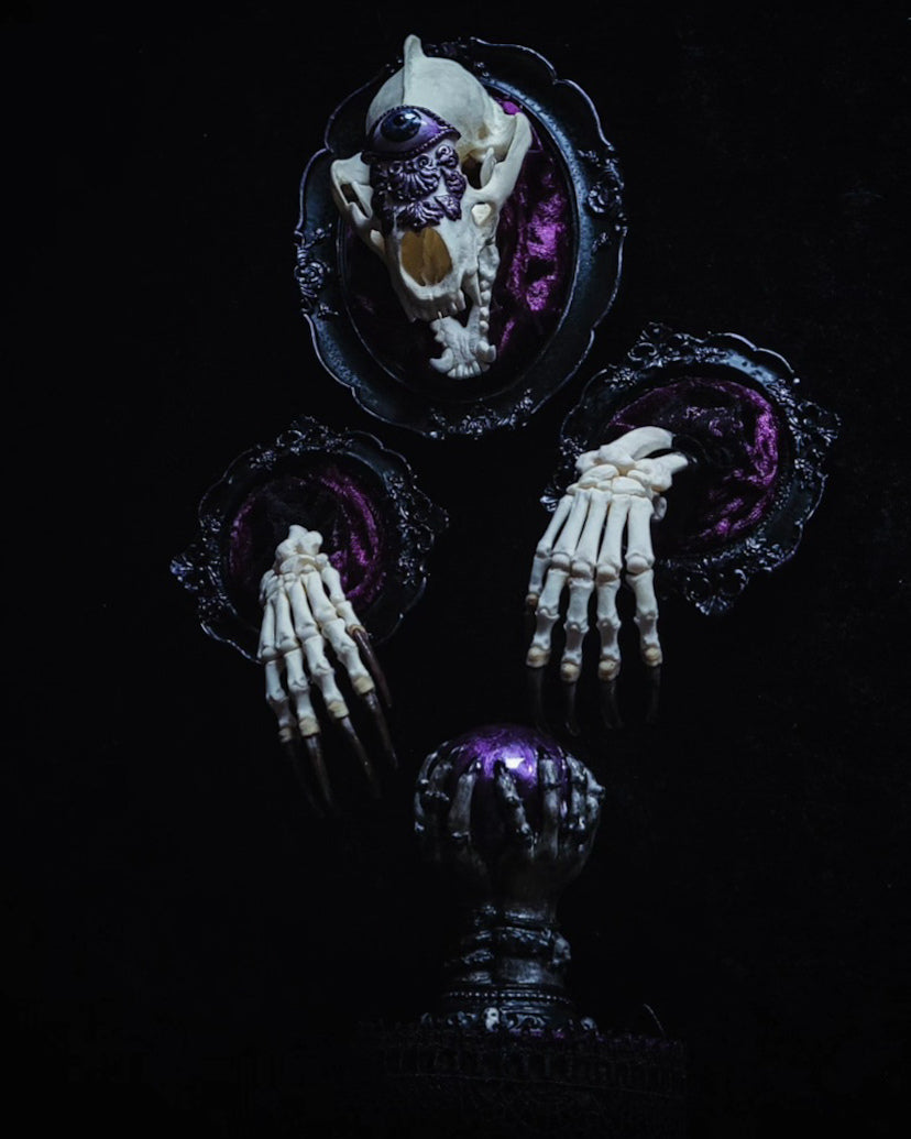 Collector's Work