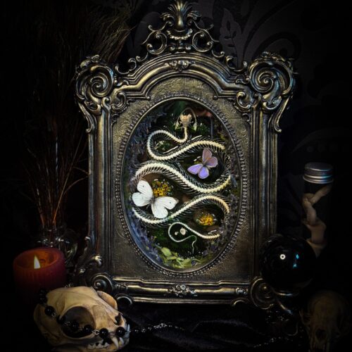 Whimsical Marshland | Snakes