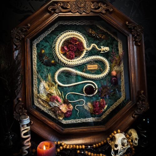 Requiem Aeternam | Snakes