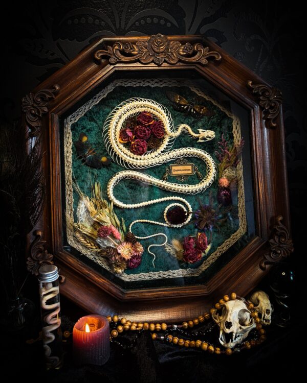 Requiem Aeternam | Snakes