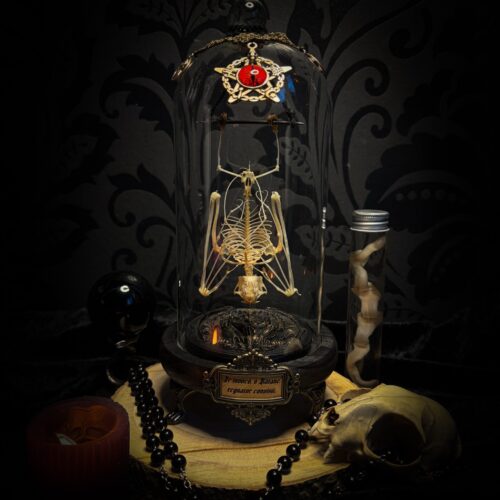 Fangtasia | Occult