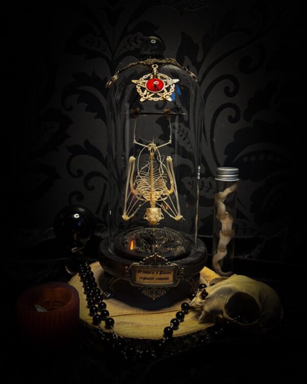 Fangtasia | Occult