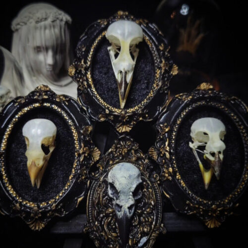 Tiny birds | Triptych
