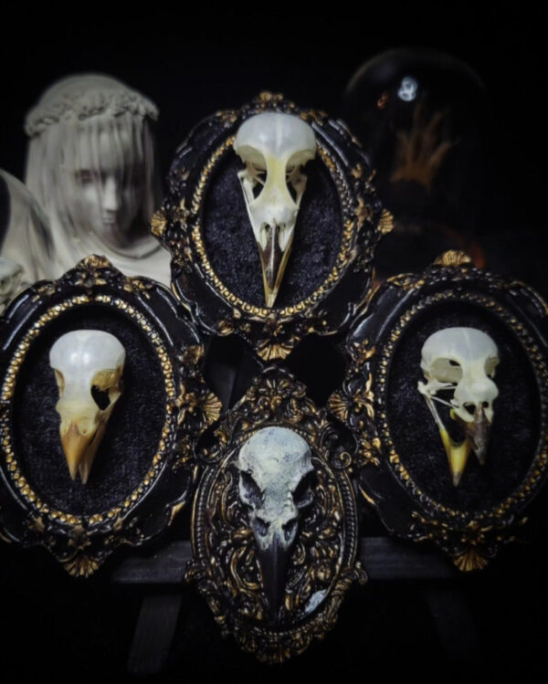 Tiny birds | Triptych