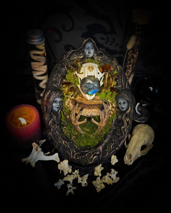 Forest Faun Calio | Woodland