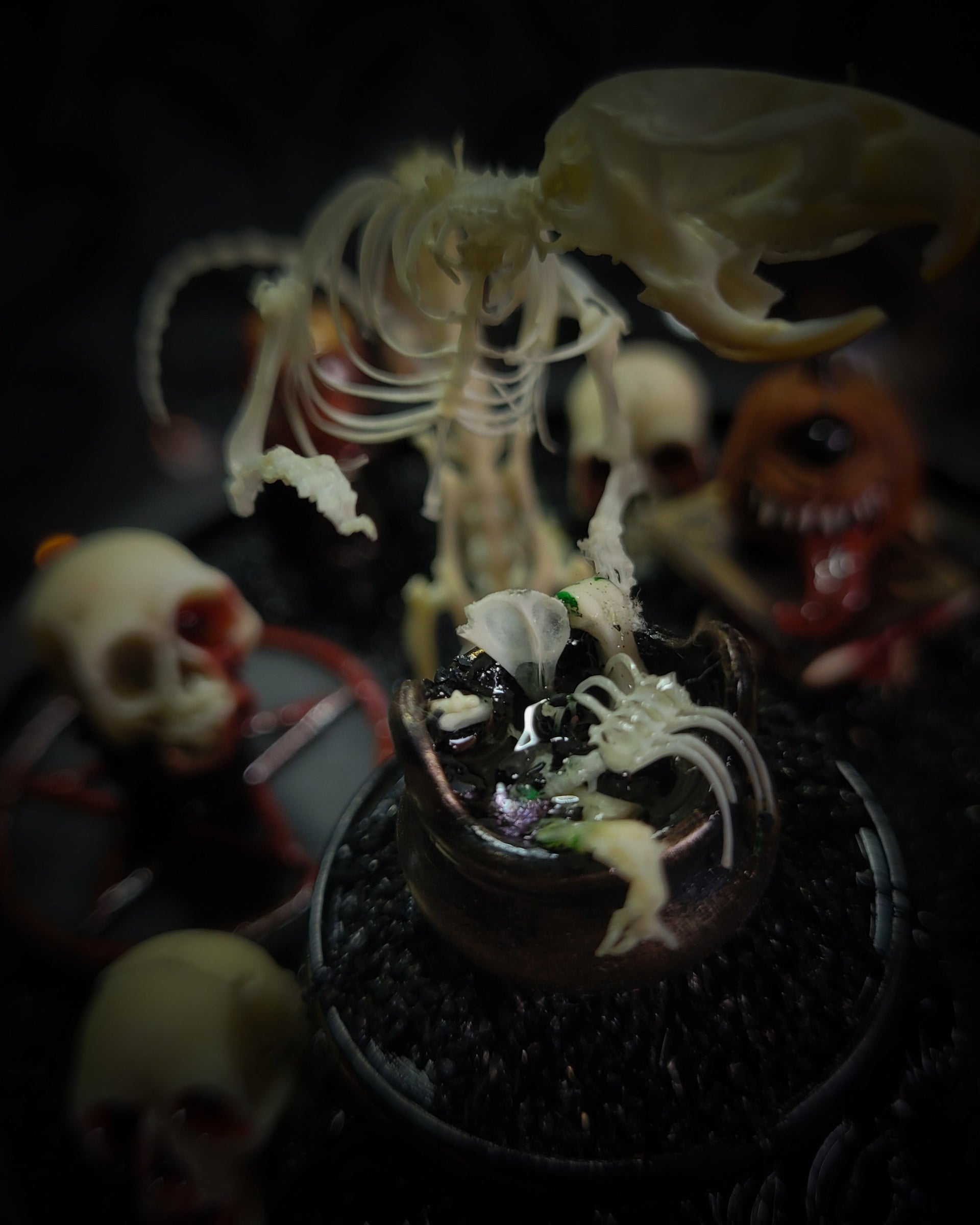 Occult