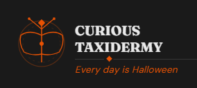 Curious Taxidermy