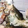 Largemouth Bass Table DisplayJumping with Frog Spectacular