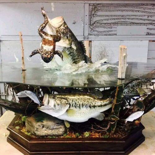 Largemouth Bass Table DisplayJumping with Frog Spectacular