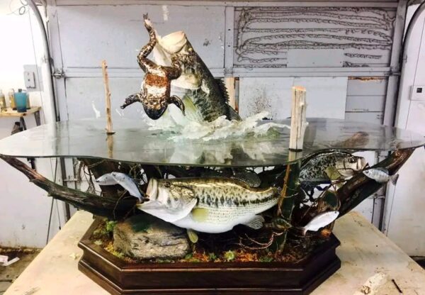 Largemouth Bass Table DisplayJumping with Frog Spectacular