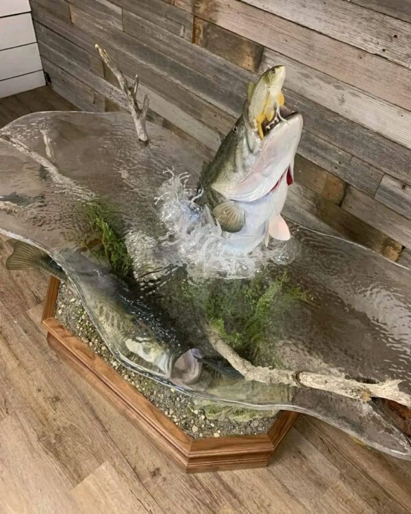 Largemouth Bass Taxidermy Coffee Table – Jumping with Fish