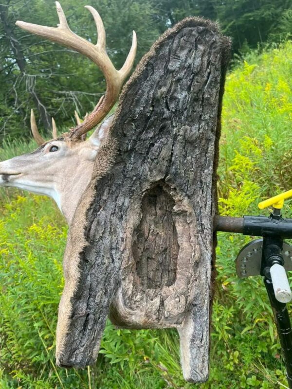 WhatsApp Image 2026-06-05 at 4.48.59 PM (1) Whitetail Buck 3D Target – Full Body Archery Target