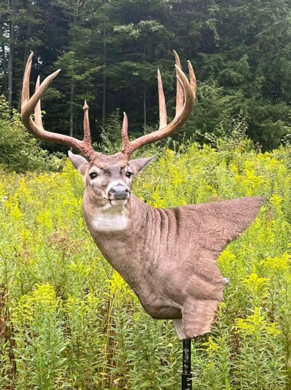 WhatsApp Image 2026-06-05 at 4.48.59 PM Whitetail Buck 3D Target – Full Body Archery Target