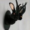 Black Horned Rabbit Taxidermy Mount – Two-Faced Jackalope Style